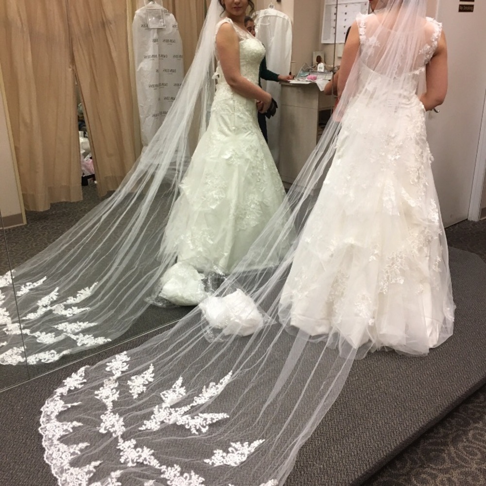 Wedding 9ft long veil tulle with appliqué design